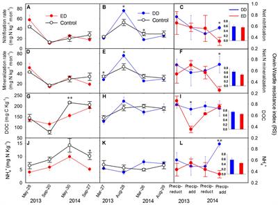 Ammonia-Oxidizing Archaea Are More Resistant Than Denitrifiers to Seasonal Precipitation Changes in an Acidic Subtropical Forest Soil